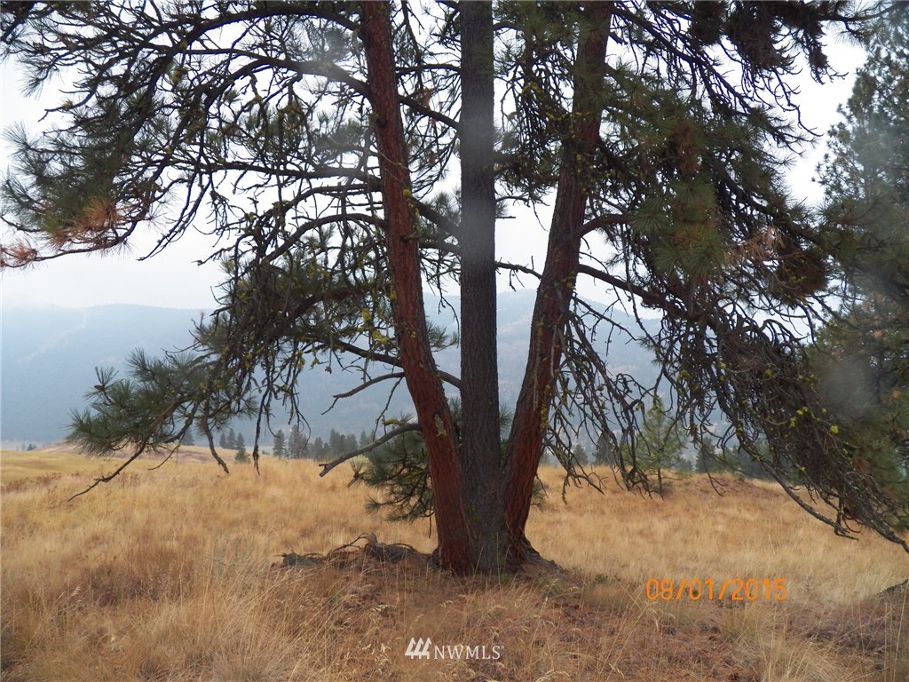 -tbd Border Road Curlew, WA 99118 - Photo 16 of 24 Gallery Image 16