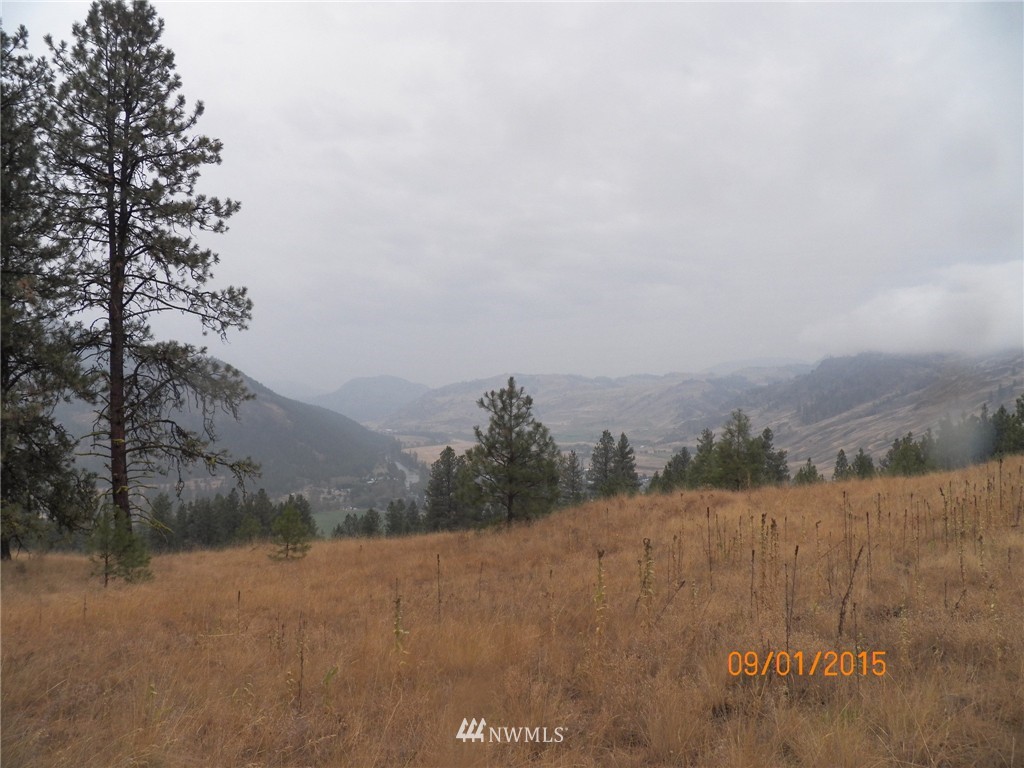 -tbd Border Road Curlew, WA 99118 - Photo 17 of 24 Gallery Image 17
