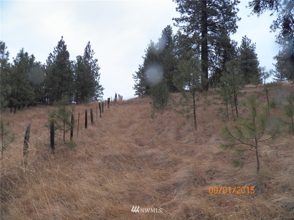 -tbd Border Road Curlew, WA 99118 - Photo 18 of 24 Gallery Image 18