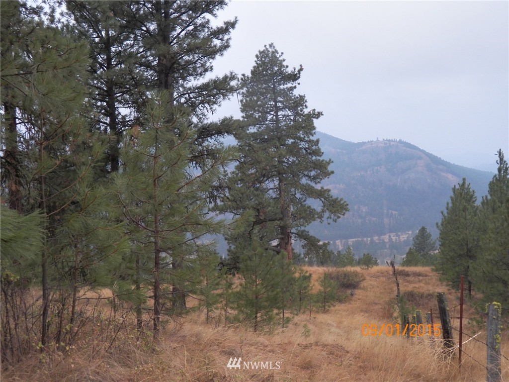 -tbd Border Road Curlew, WA 99118 - Photo 19 of 24 Gallery Image 19