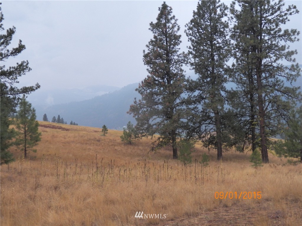 -tbd Border Road Curlew, WA 99118 - Photo 20 of 24 Gallery Image 20