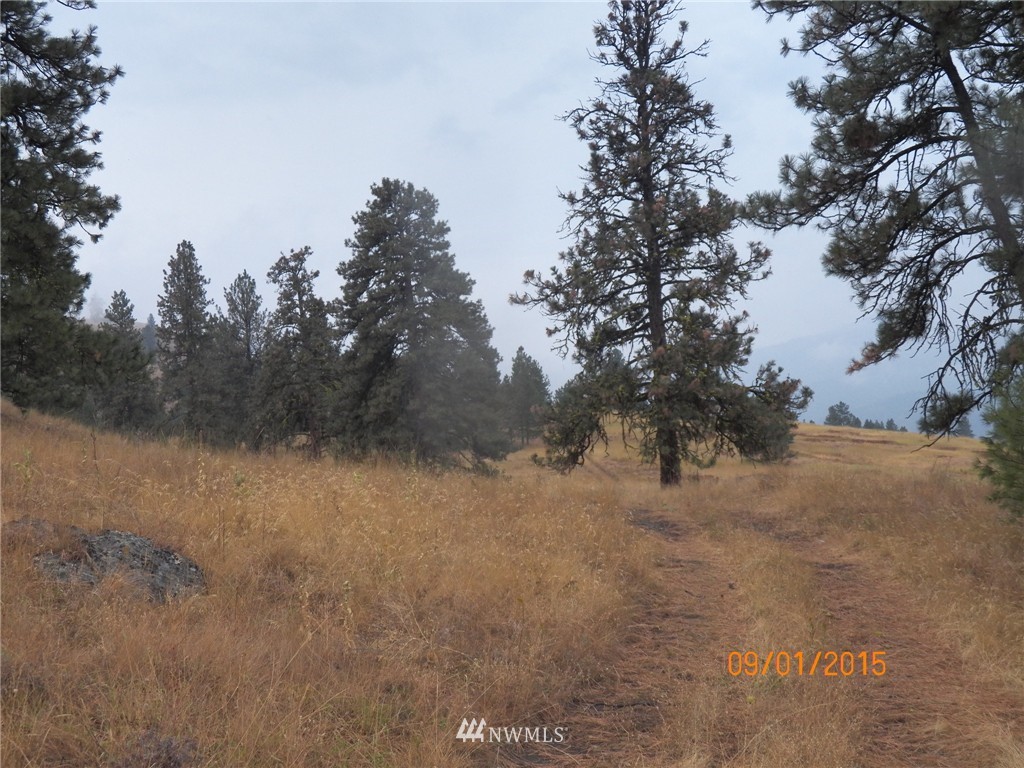 -tbd Border Road Curlew, WA 99118 - Photo 21 of 24 Gallery Image 21