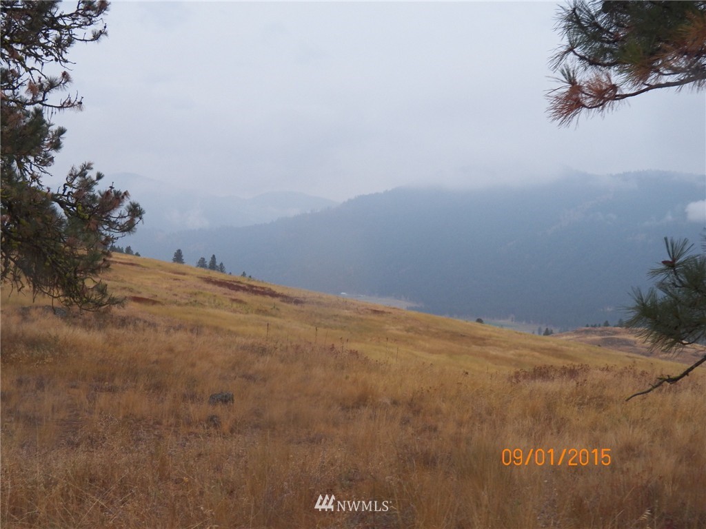 -tbd Border Road Curlew, WA 99118 - Photo 22 of 24 Gallery Image 22