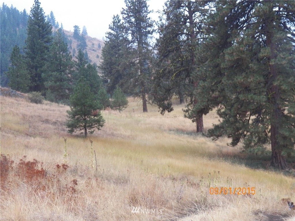 -tbd Border Road Curlew, WA 99118 - Photo 23 of 24 Gallery Image 23