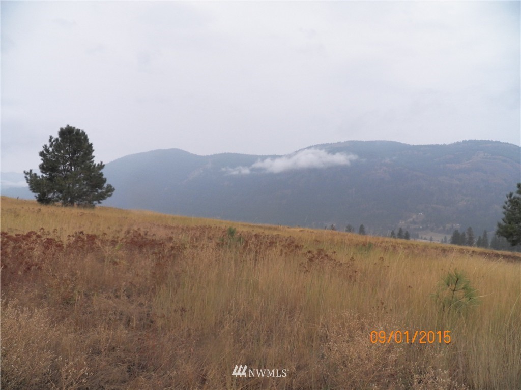 -tbd Border Road Curlew, WA 99118 - Photo 24 of 24 Gallery Image 24