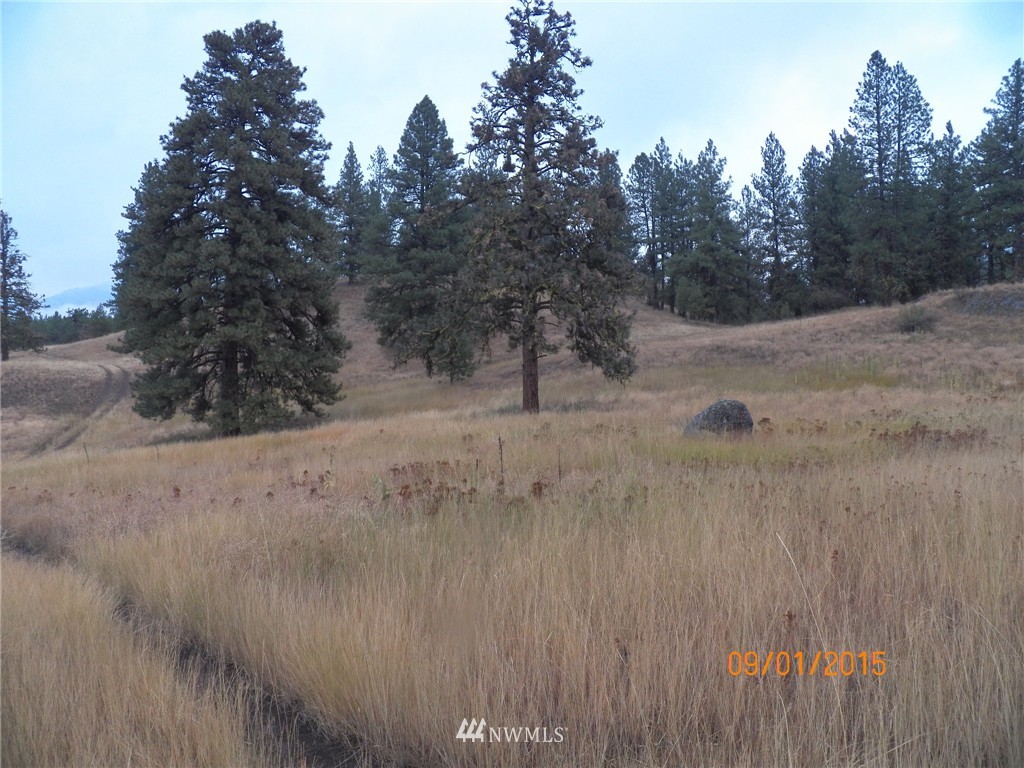 -tbd Border Road Curlew, WA 99118 - Photo 10 of 24 Gallery Image 10