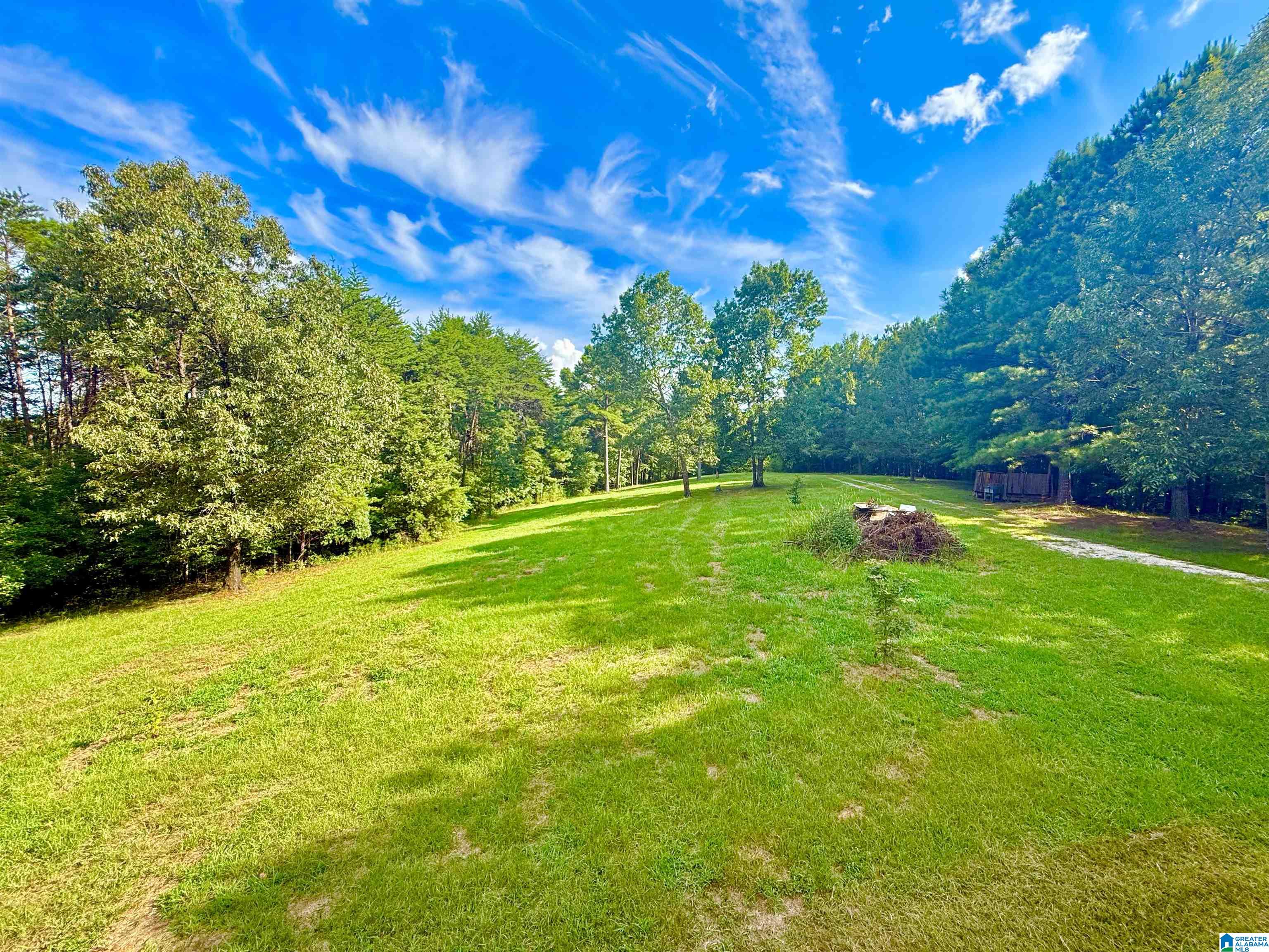 561 Maple Ridge Calera, AL 35040 - Photo 36 of 71