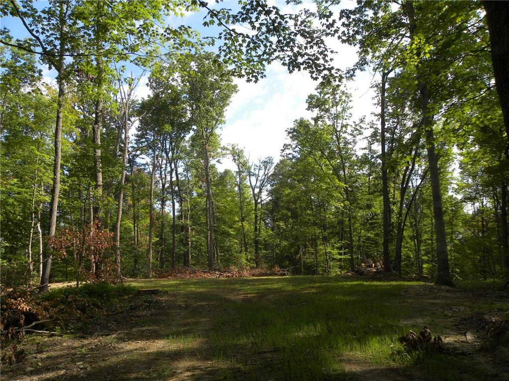 Xxx Freeman Ridge Road Nashville, IN 47448 - Photo 2 of 11