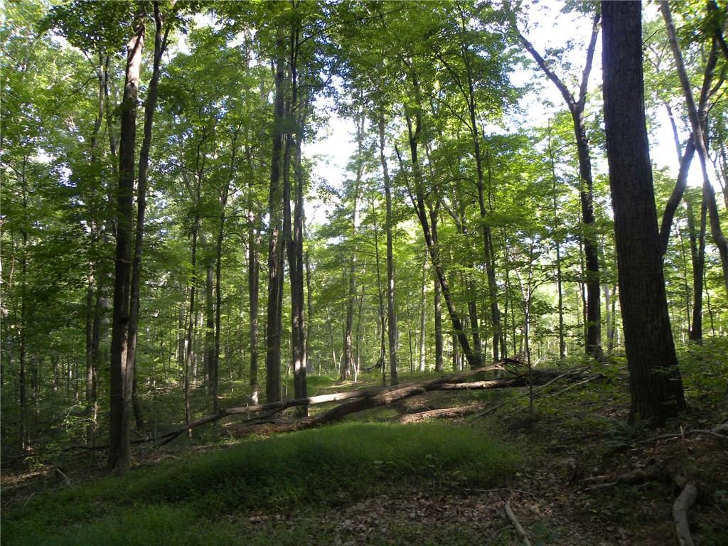 Xxx Freeman Ridge Road Nashville, IN 47448 - Photo 11 of 11