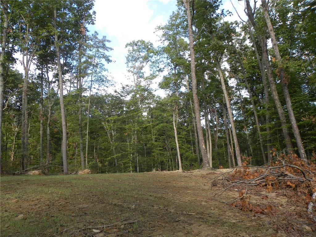 Xxx Freeman Ridge Road Nashville, IN 47448 - Photo 3 of 11