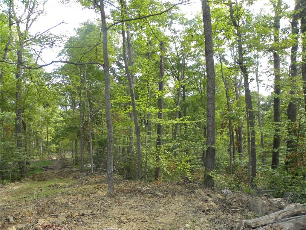 Xxx Freeman Ridge Road Nashville, IN 47448 - Photo 4 of 11