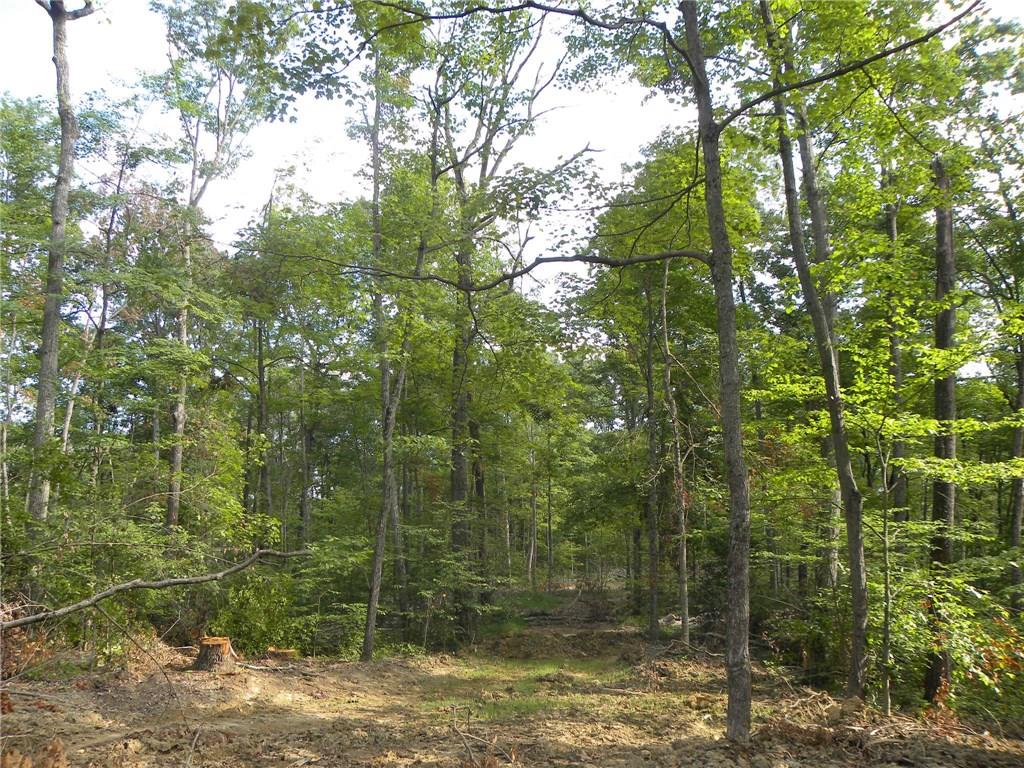 Xxx Freeman Ridge Road Nashville, IN 47448 - Photo 5 of 11