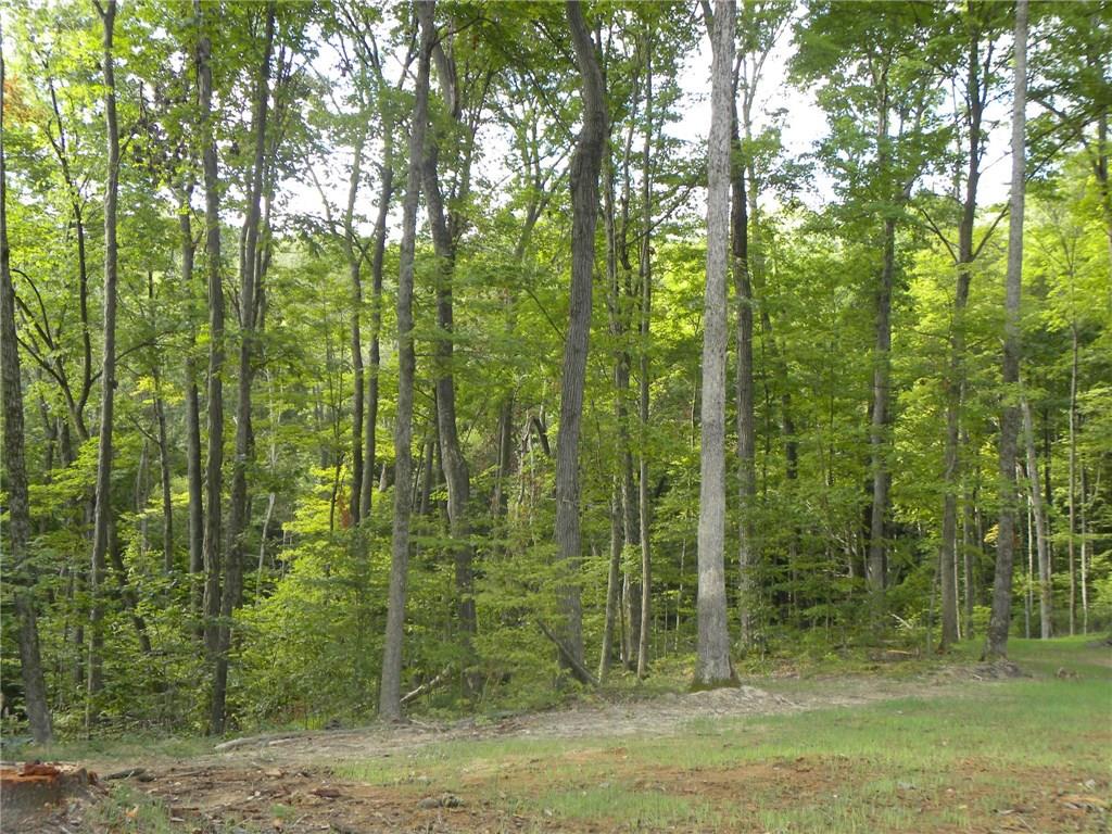 Xxx Freeman Ridge Road Nashville, IN 47448 - Photo 6 of 11