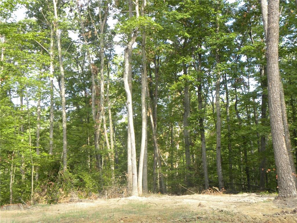 Xxx Freeman Ridge Road Nashville, IN 47448 - Photo 7 of 11