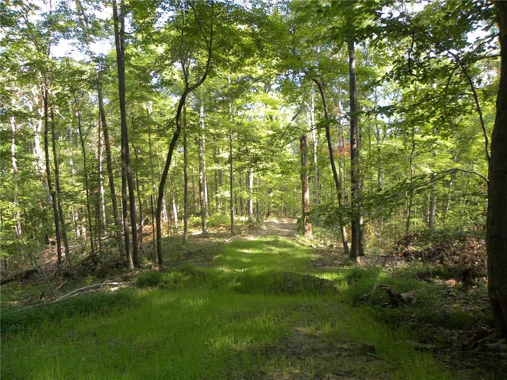 Xxx Freeman Ridge Road Nashville, IN 47448 - Photo 8 of 11