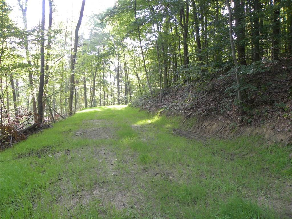 Xxx Freeman Ridge Road Nashville, IN 47448 - Photo 9 of 11