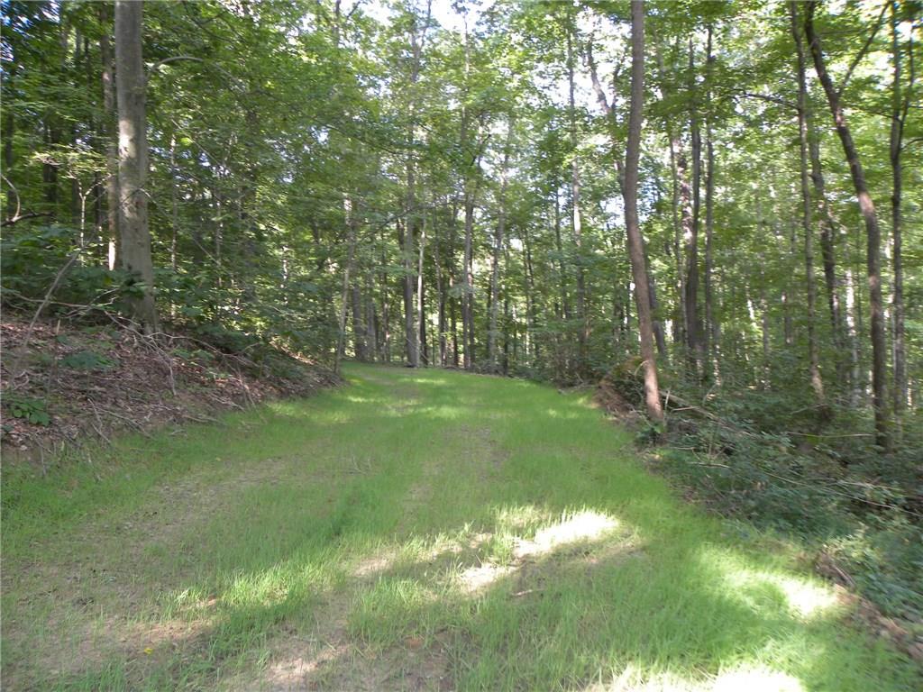 Xxx Freeman Ridge Road Nashville, IN 47448 - Photo 10 of 11