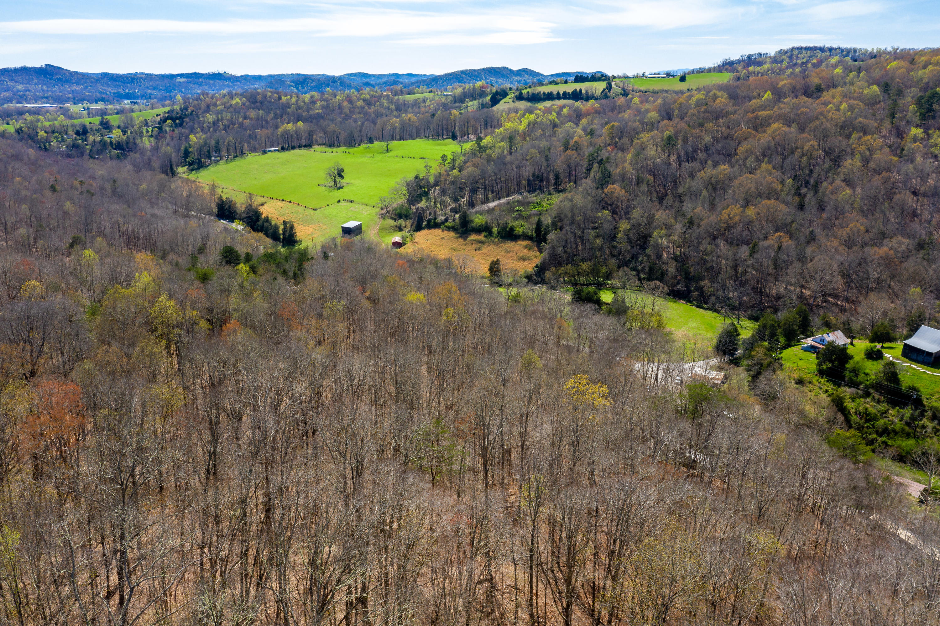 Lot 2 Edwards Hollow Road New Tazewell, TN 37825 - Photo 6 of 12 DJI_0978