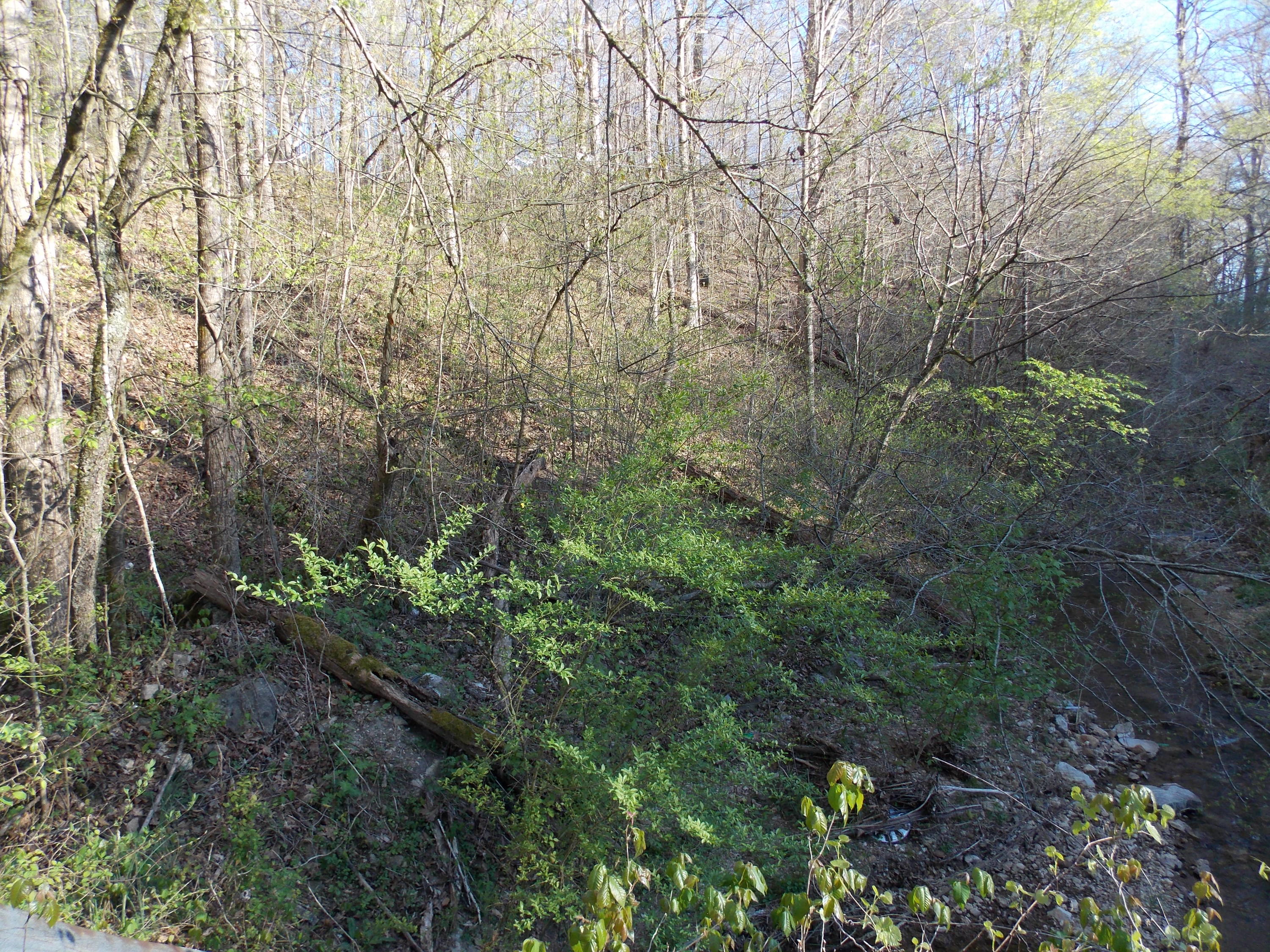 Lot 2 Edwards Hollow Road New Tazewell, TN 37825 - Photo 8 of 12 DSCN4053