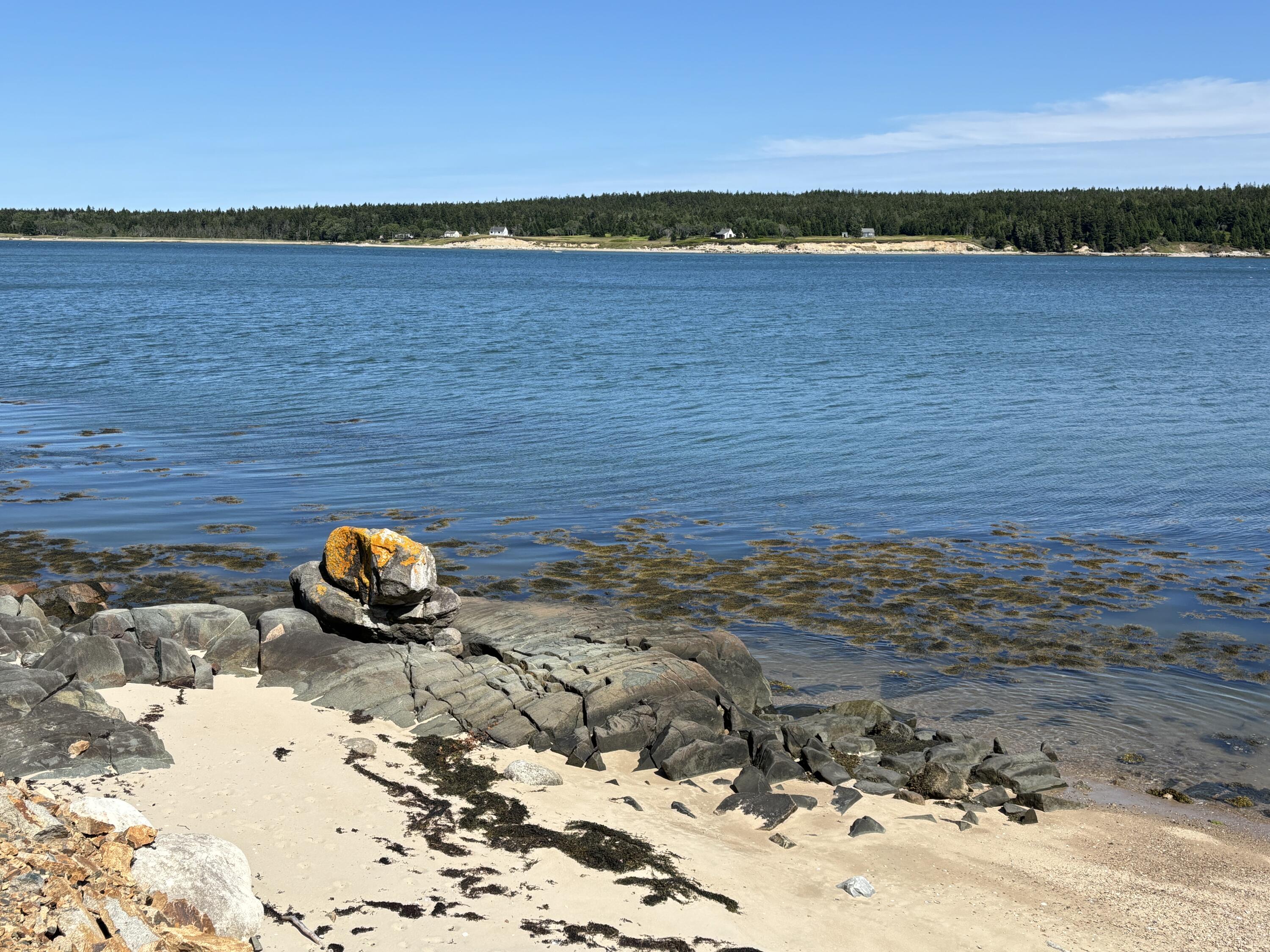 1056 Pigeon Hill Road Steuben, ME 04680 - Photo 26 of 40 IMG_6524