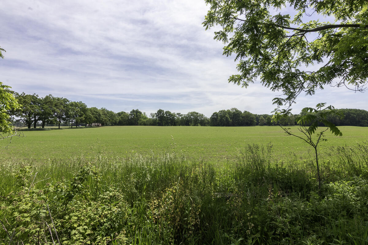 11481 Cressey Road Plainwell, MI 49080 - Photo 106 of 107 11481Cressey-44