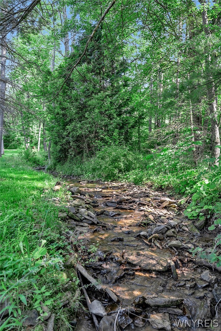 7749 Crabb Hollow Road New Hudson, NY 14717 - Photo 46 of 50