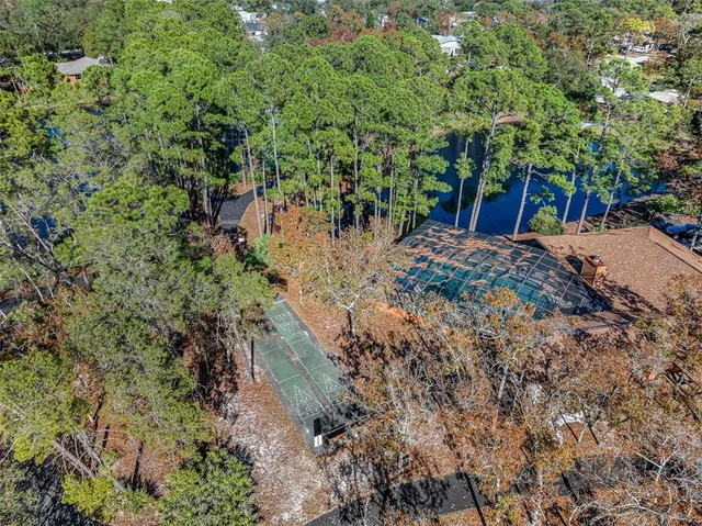 a view of a yard with plants and trees
