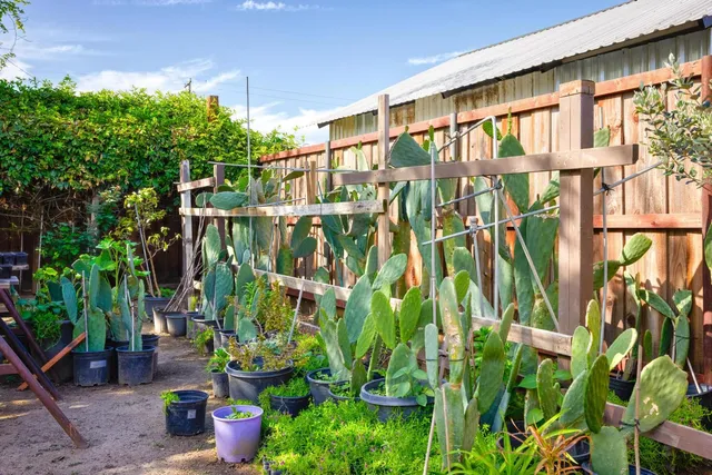 $499,900 | 2120 River Road, Modesto, CA 95351