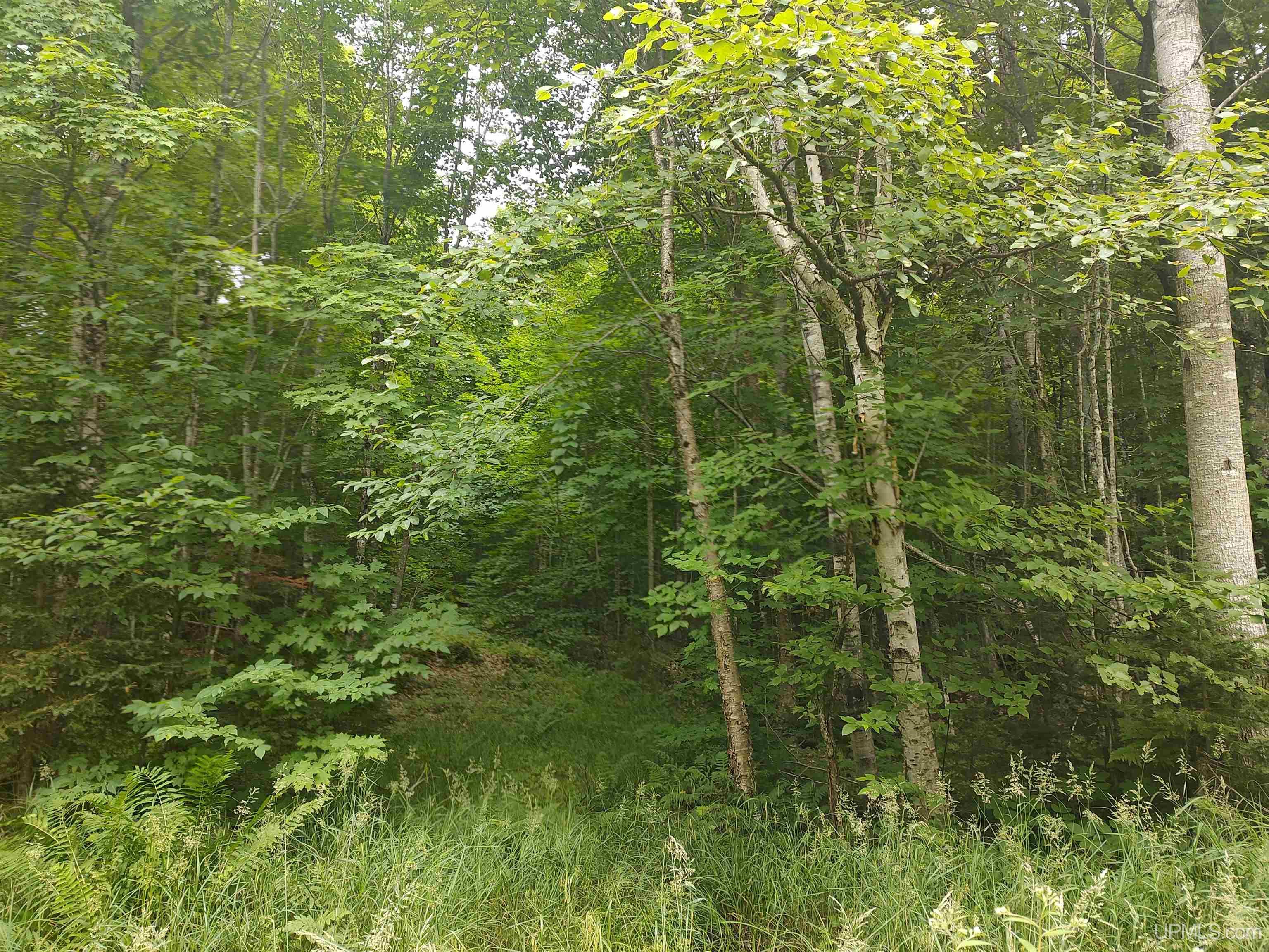60-acres Sleepy Hollow Road Ishpeming, MI 49849 - Photo 8 of 29