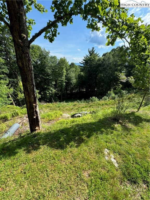 Churchhill Downs Boone, NC 28607 - Photo 11 of 16