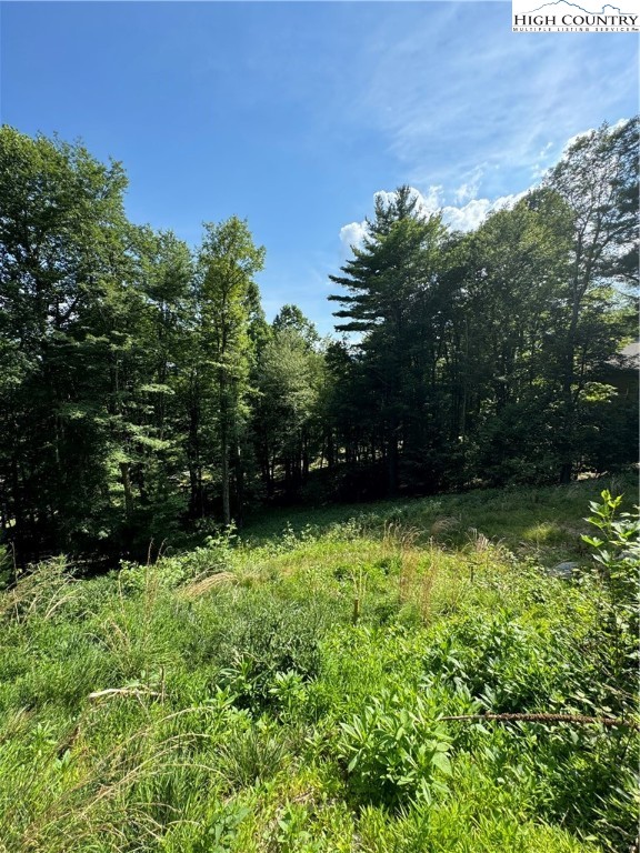 Churchhill Downs Boone, NC 28607 - Photo 12 of 16