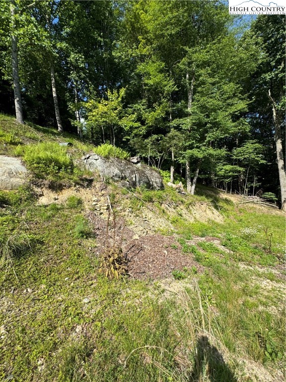 Churchhill Downs Boone, NC 28607 - Photo 15 of 16