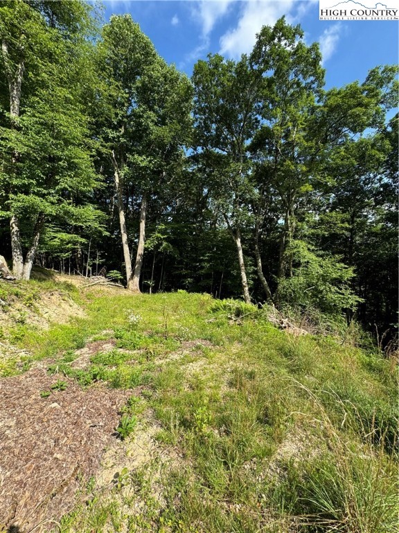 Churchhill Downs Boone, NC 28607 - Photo 16 of 16