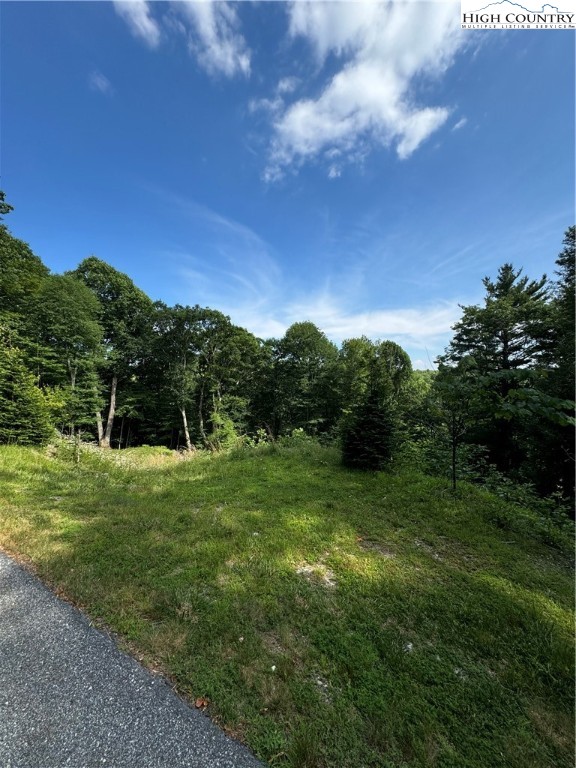 Churchhill Downs Boone, NC 28607 - Photo 6 of 16