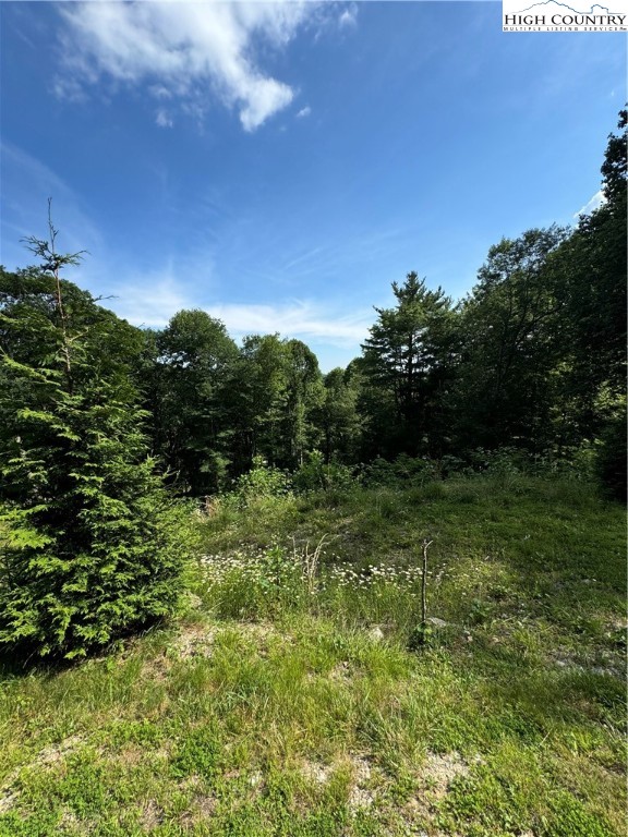 Churchhill Downs Boone, NC 28607 - Photo 7 of 16