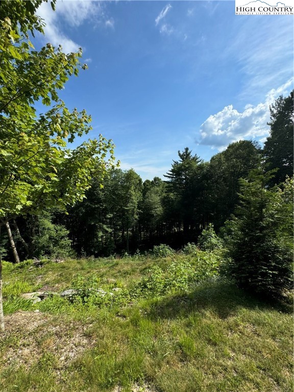 Churchhill Downs Boone, NC 28607 - Photo 8 of 16