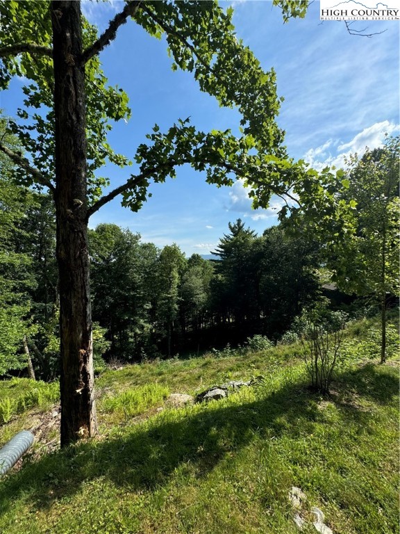 Churchhill Downs Boone, NC 28607 - Photo 9 of 16
