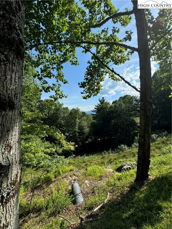 Churchhill Downs Boone, NC 28607 - Photo 10 of 16