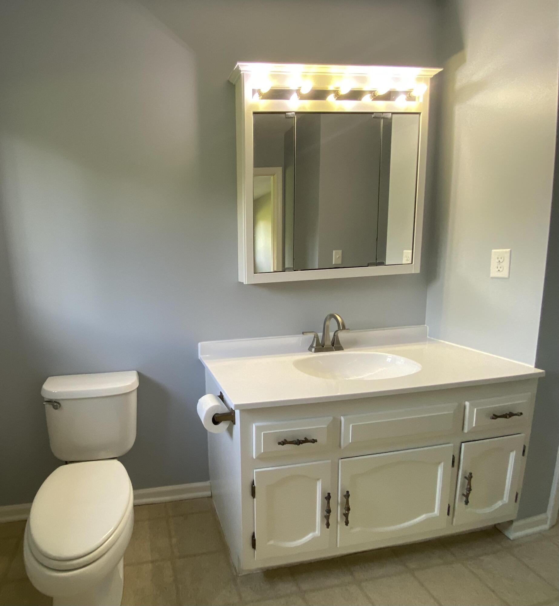 11229 West Snows Lake Road Greenville, MI 48838 - Photo 5 of 27 05_beyc6a3fcd289465e