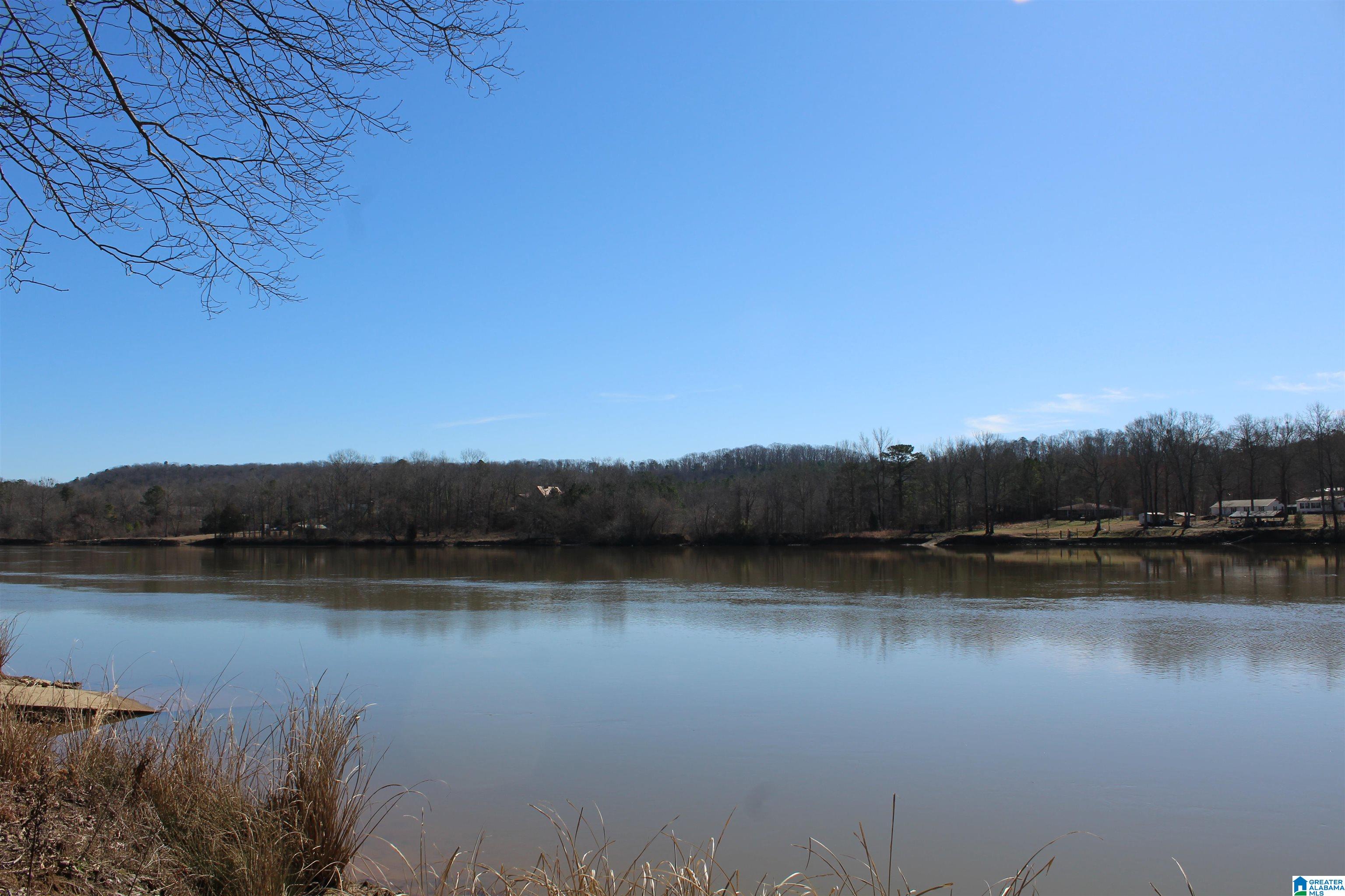 85 Brooks Road Ragland, AL 35131 - Photo 26 of 27