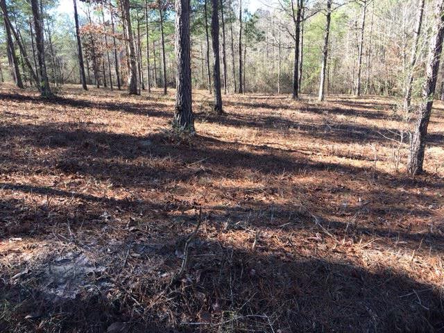 Lot 1 Harbor Road Andalusia, AL 36421 - Photo 5 of 5 Gallery Image 5
