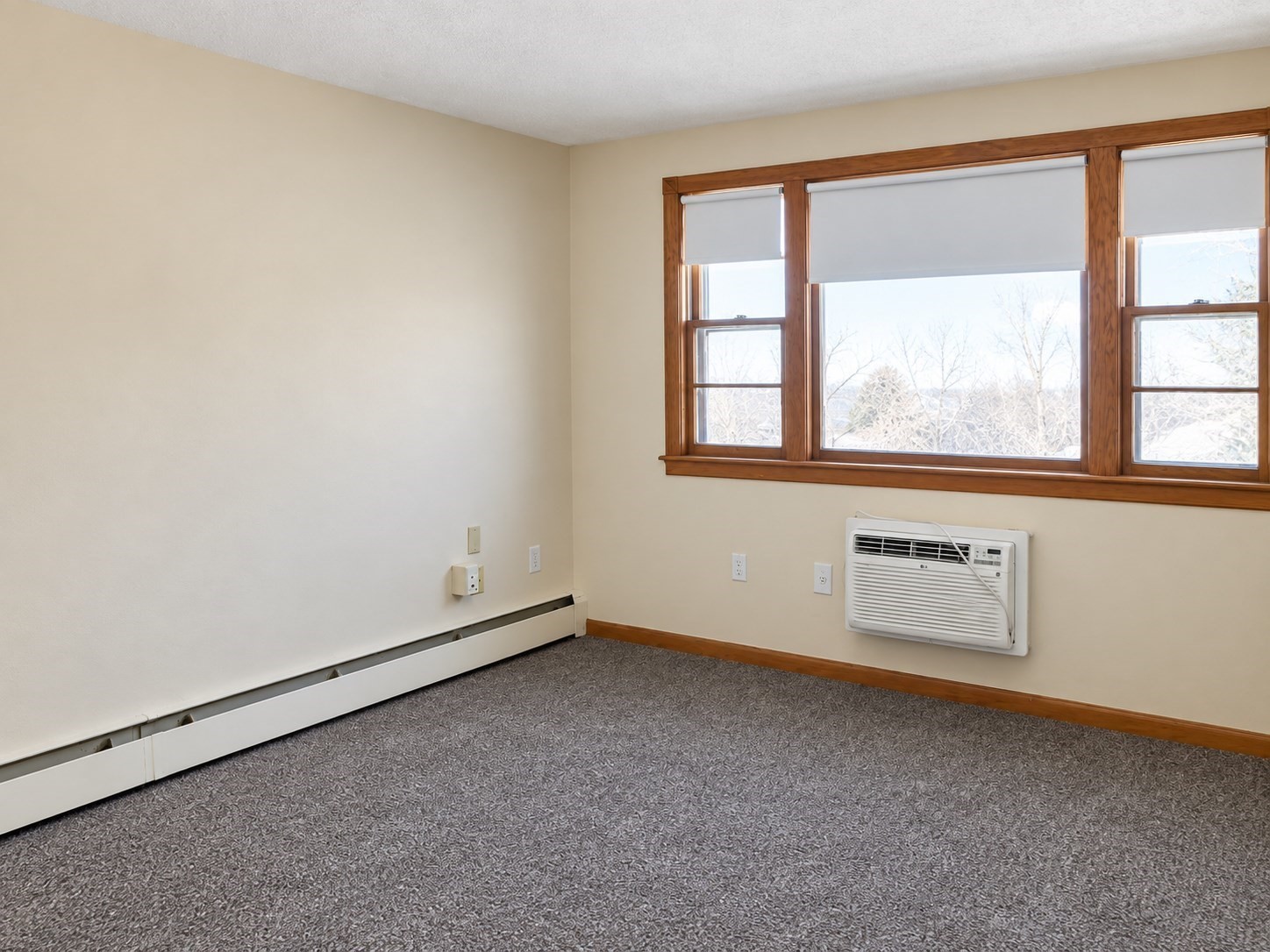 81 Trapelo Road, Unit 58 Waltham, MA 02452 - Photo 6 of 15 Gallery Image 6