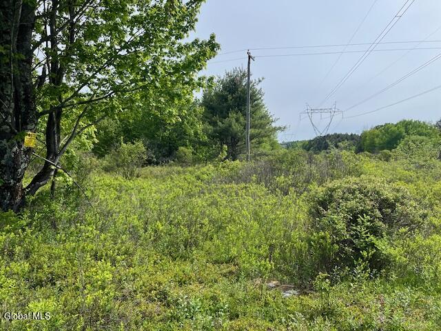 L9 Harrington Road Gilboa, NY 12076 - Photo 21 of 27 IMG_5385