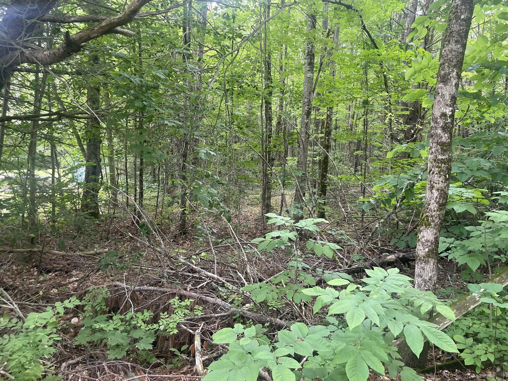 1075 Hill Road Clinton, ME 04927 - Photo 164 of 172 IMG_6267