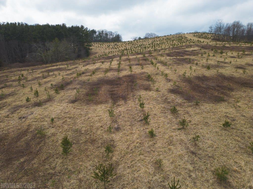 3 Long Mountain Road Southwest Willis, VA 24380 - Photo 15 of 66 Gallery Image 15