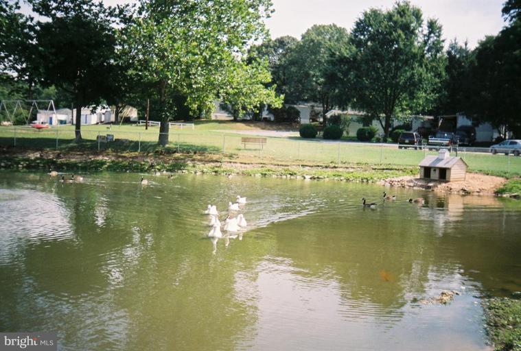 7810 Clark Road, Unit C 25 Jessup, MD 20794 - Photo 30 of 30 Duck pond at Holiday