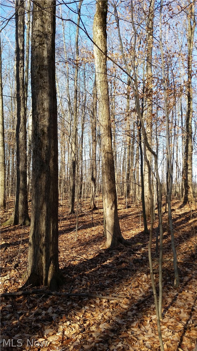 Vandemark Road Medina, OH 44256 - Photo 20 of 21 Gallery Image 20