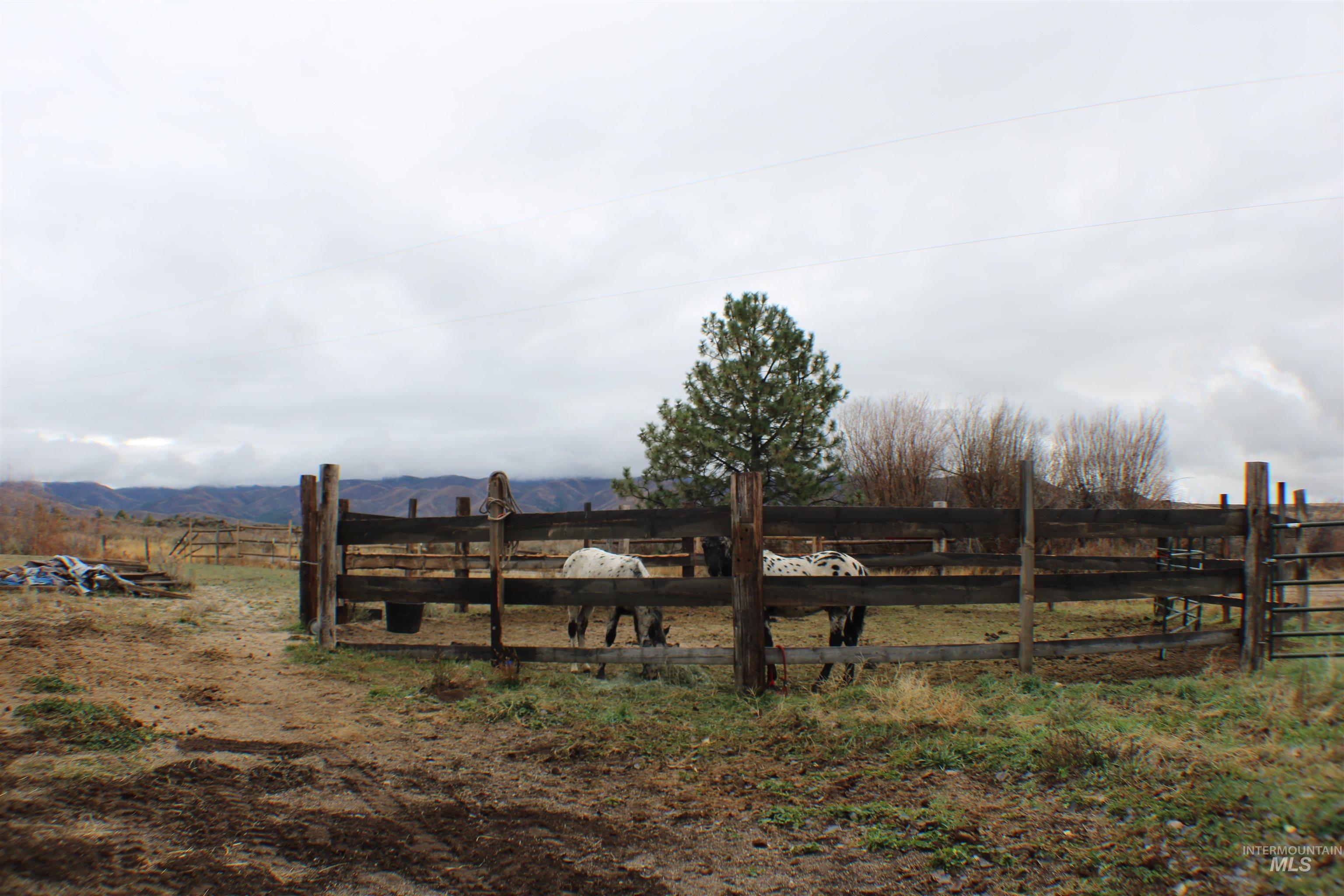 200 East Prairie Road Mountain Home, ID 83647 - Photo 11 of 38 View of yard with a rural view and a mountain view