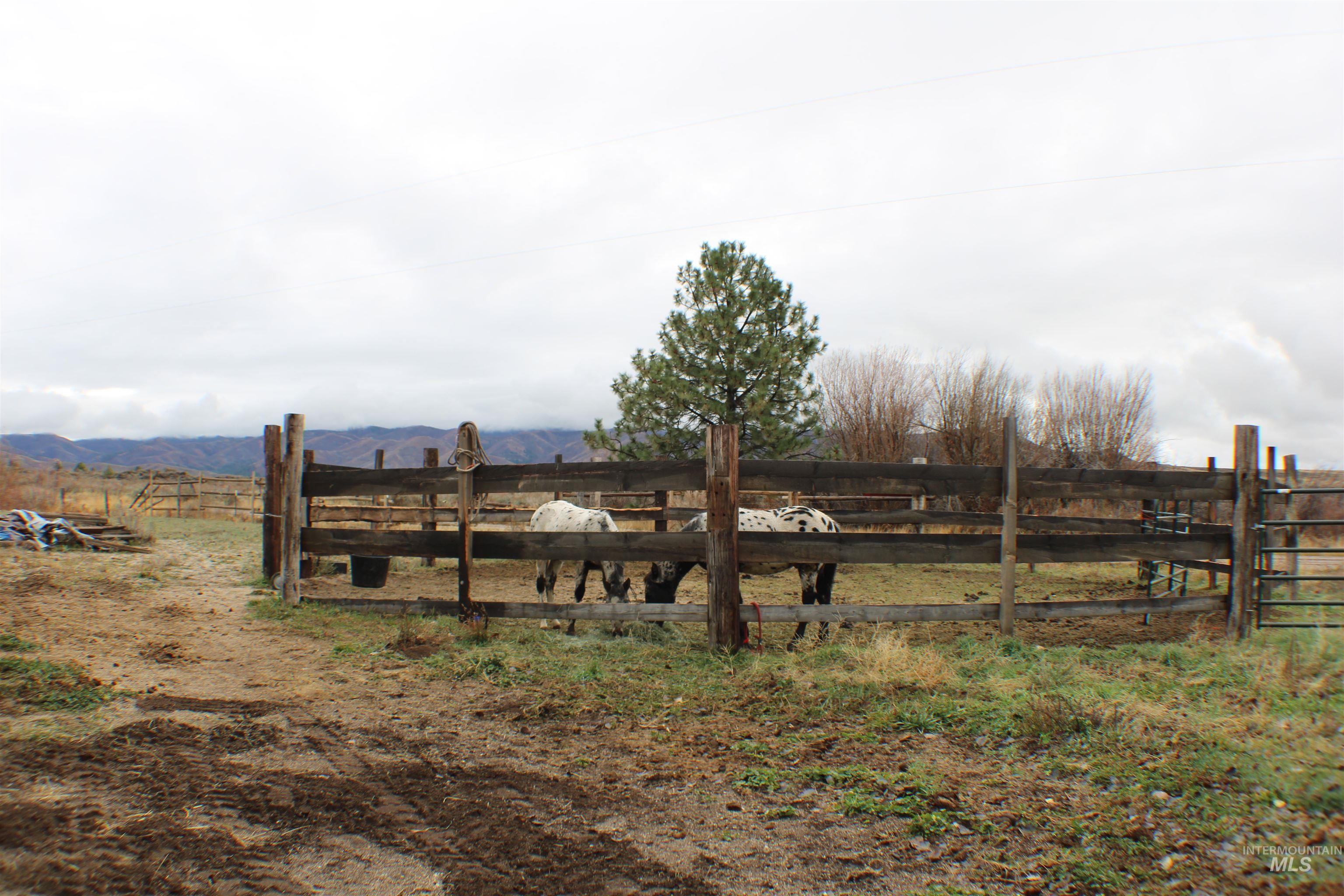 200 East Prairie Road Mountain Home, ID 83647 - Photo 12 of 38 View of yard featuring a rural view and a mountain view