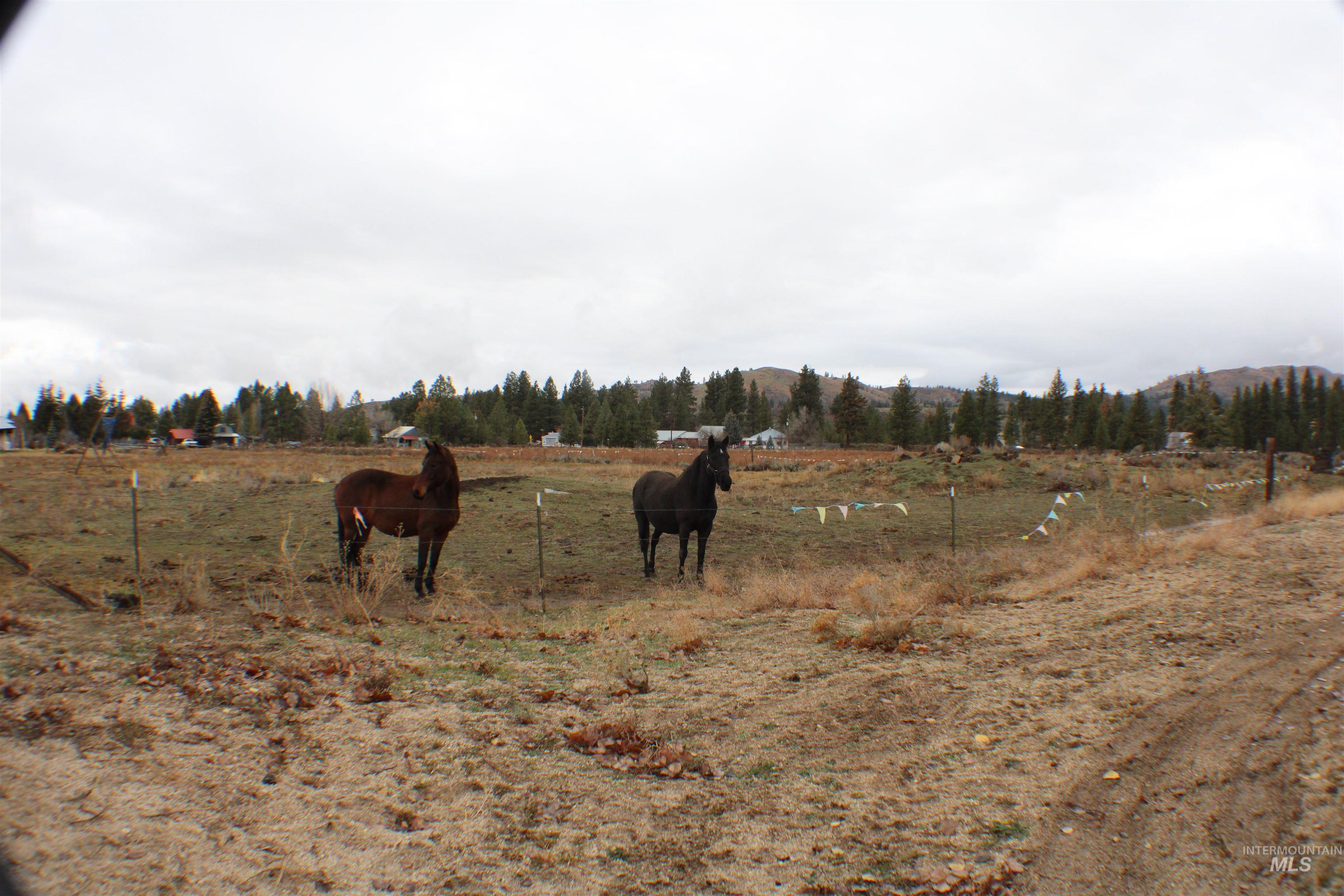 200 East Prairie Road Mountain Home, ID 83647 - Photo 29 of 38 View of local wilderness featuring rural landscape and agricultural land